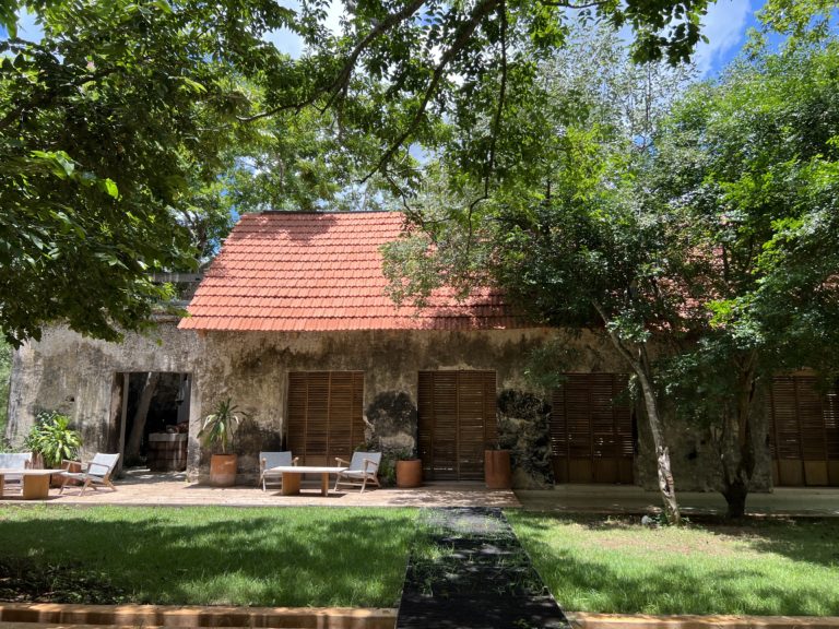 naturaleza-yucatán-más-allá-de-Mérida