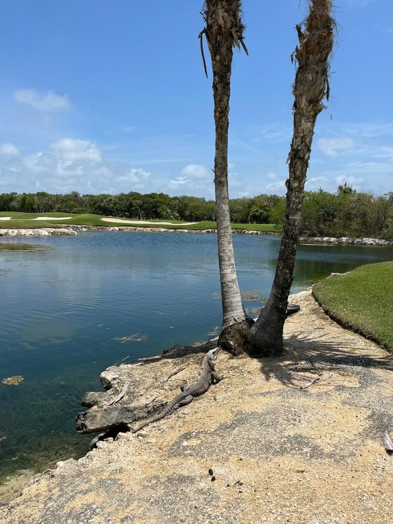 riviera-maya-golf-playa