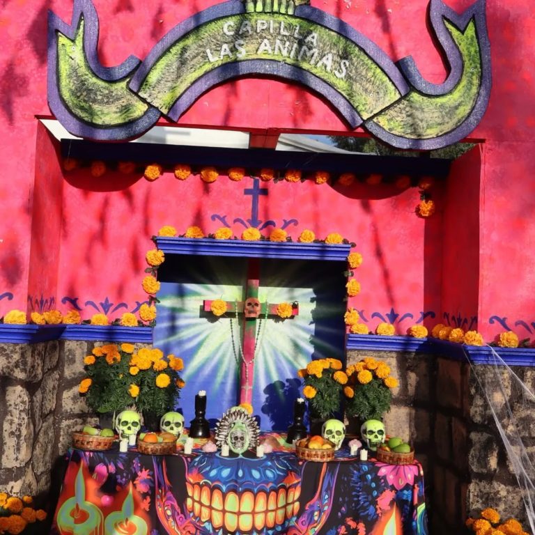 ruta-del-cempasuchil-mexico-turismo