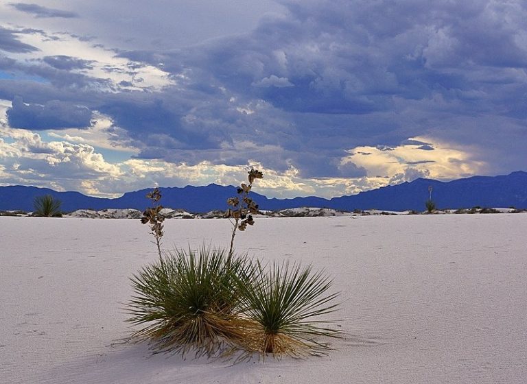 ruta-escenica-por-dunas-usa-vacacion