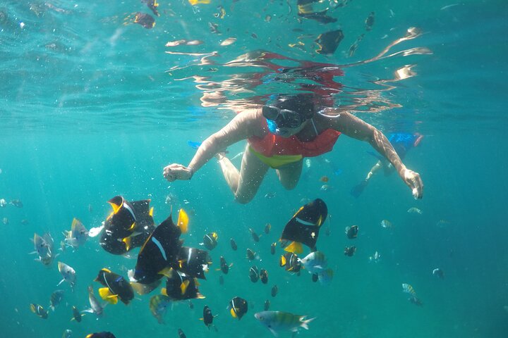 snorquel-cabos-de-baja-california