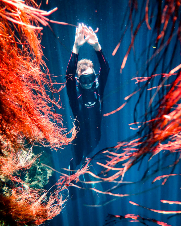 61956317_183925625936980_6620550363038452092_n-(1)