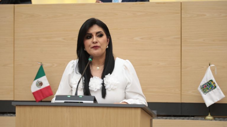 Impulsa diputada Delfina Pozos iniciativa para profesionalizar la defensoría pública y fortalecer la protección de mujeres