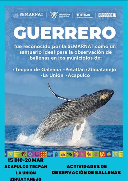 Ballenas en GRO