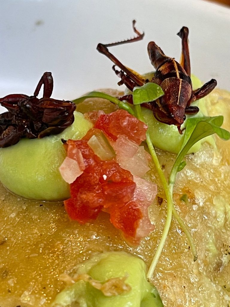 El-Nido-Restaurante-mexico