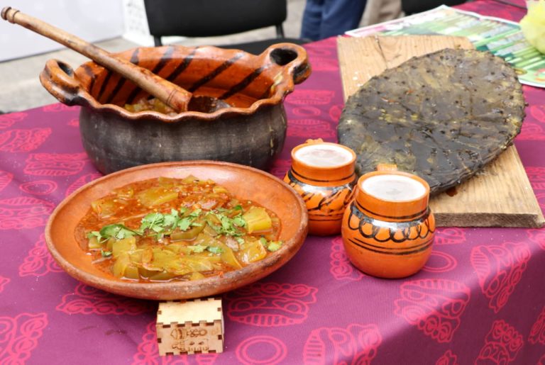 Feria del Pulque y el Nopal: tradición viva en Palmar de Bravo