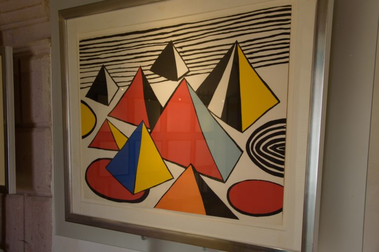 Museo Pedro Coronel (5)