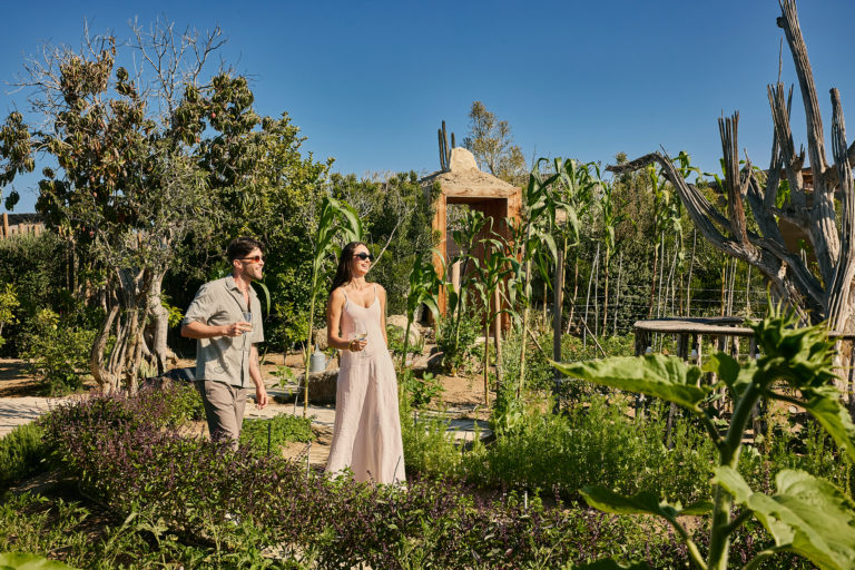 Thanksgiving al estilo Baja: fuego, tierra y gratitud