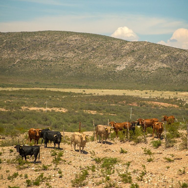 Rancho-El-peñolito-mex-turismo