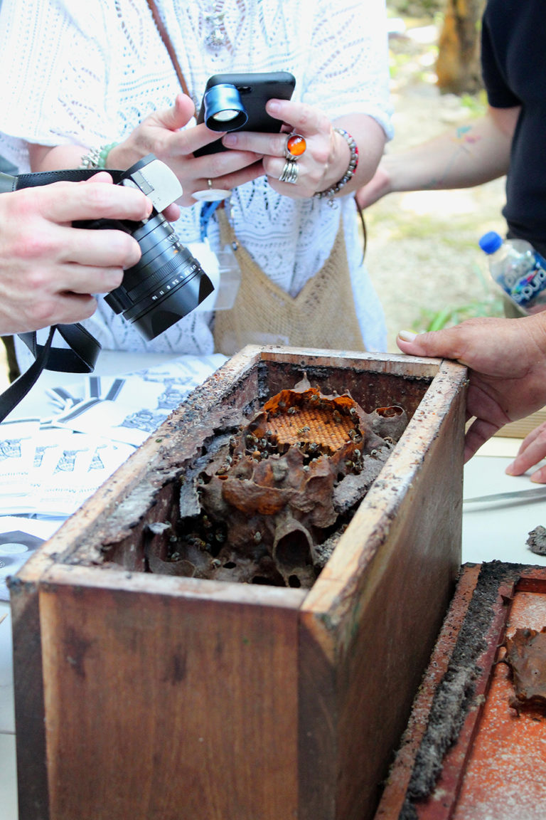 RutaPuuc_y_AldeasMayas-Hacienda-SantaRosadeLima-Hotel-Maxcanú-Experiencia-AbejasMeliponas-01