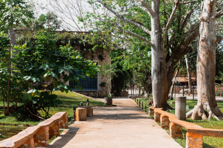 Valladolid celebra la Vendimia Maya: vino, cultura y selva