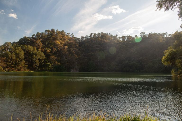 Tacámbaro celebra 13 años como Pueblo Mágico (5)