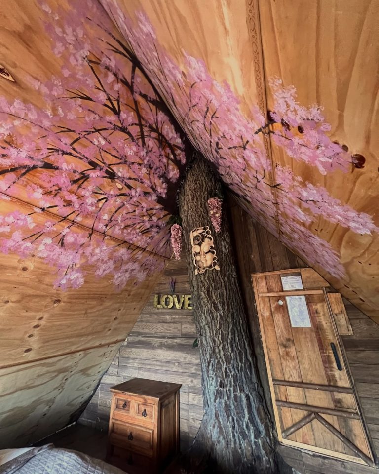 aldea-pacha-mama-popocatepetl