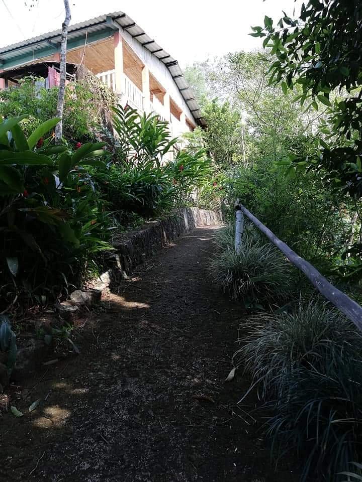 cabanas-cascadas-encantadas-punta