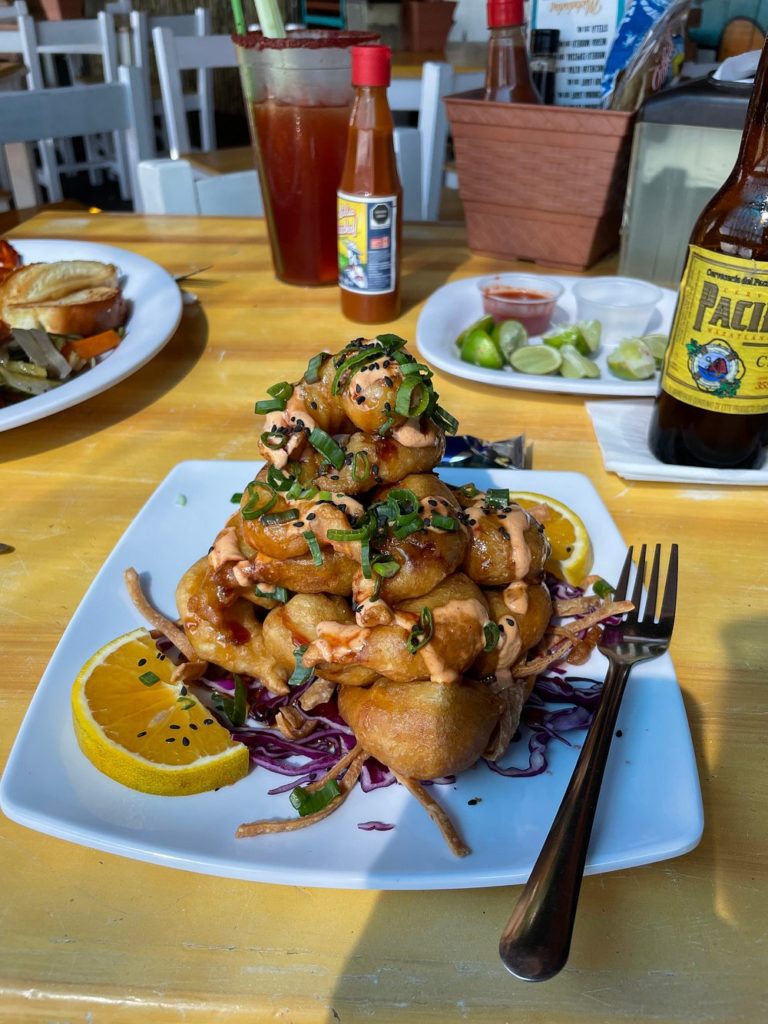 jaiba-parada-mx-gastronomia