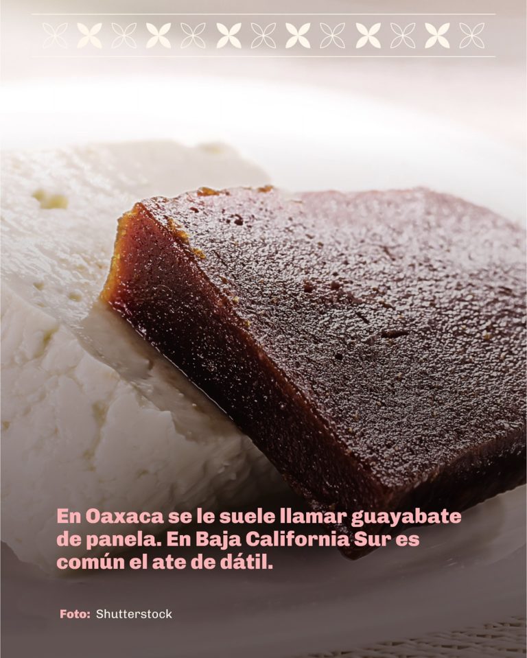 mexico-turismo-ate-mx