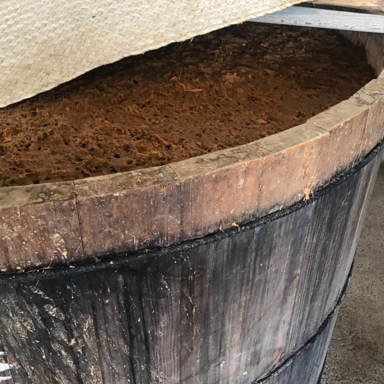 mezcal-real-minero-mexico-turismo