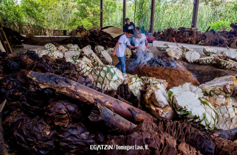 mezcal-real-minero-mx-turismo