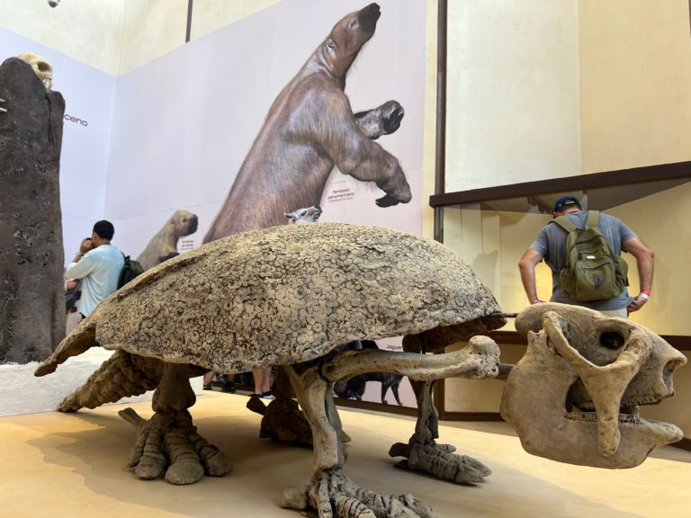 museo-bahia-principe-grand-tulum