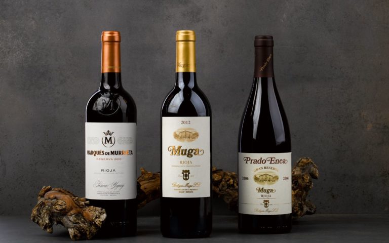 Catando México 2025: Vive el gran festival del vino en Guanajuato