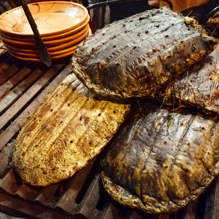 nopal-en-penca-mexico-turismo