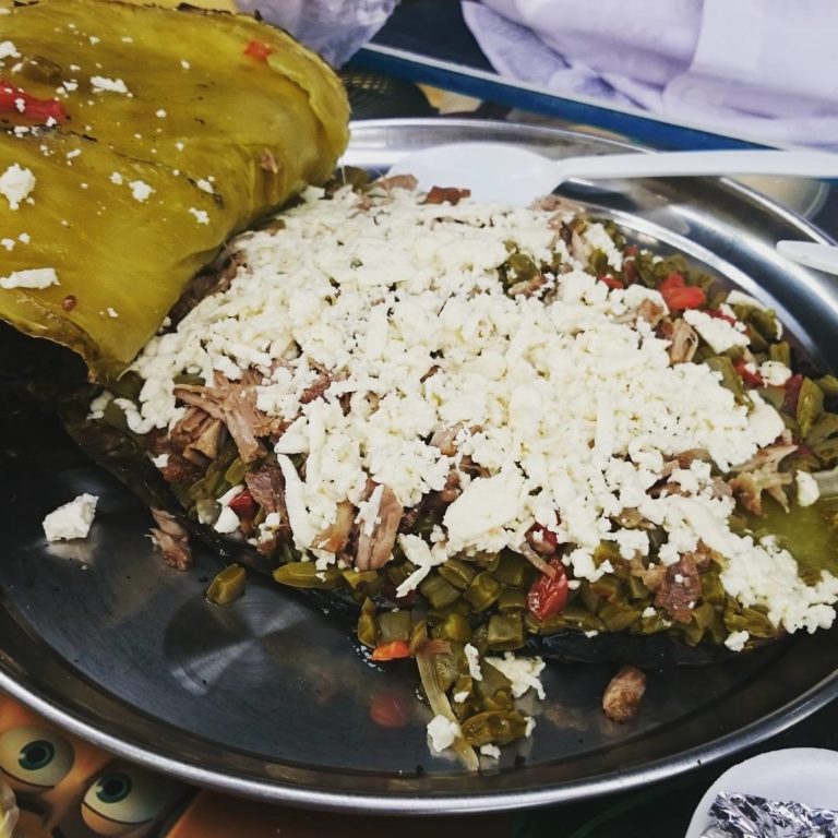 nopal-en-penca-mx-turismo