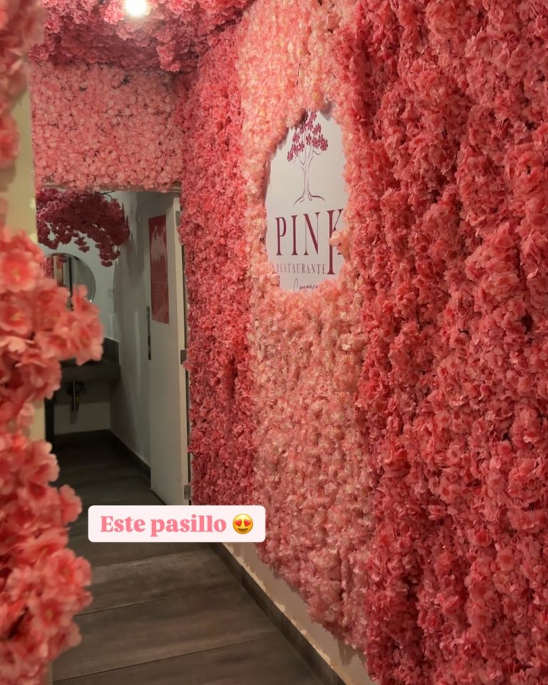 pink-restaurante-coyoacan-méx