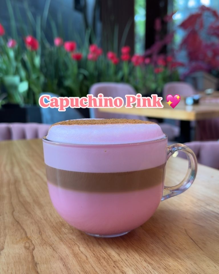 pink-restaurante-coyoacan-méx-turismo