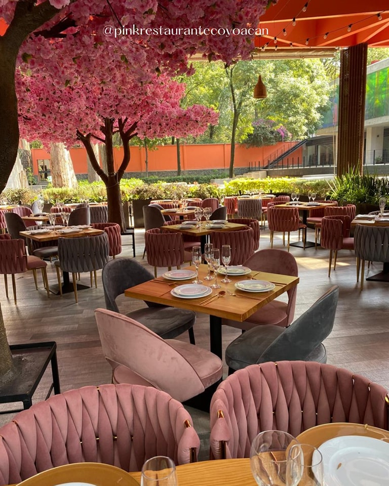 pink-restaurante-coyoacan-mx