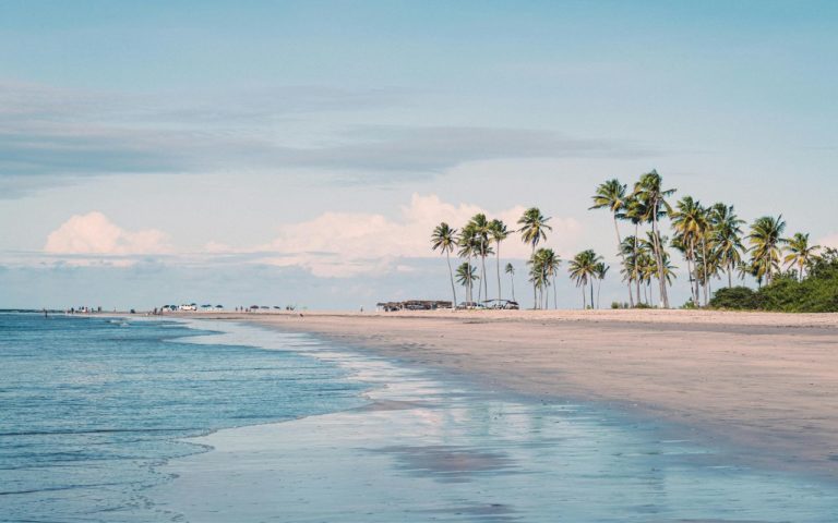 Playas en Baja California que no te puedes perder esta Navidad