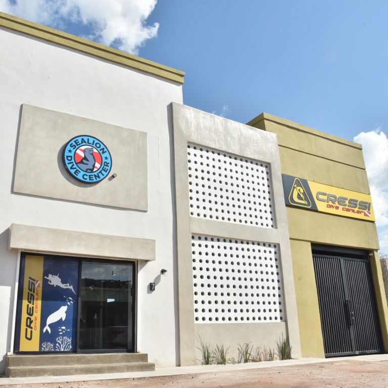 sealion-drive-center-mex