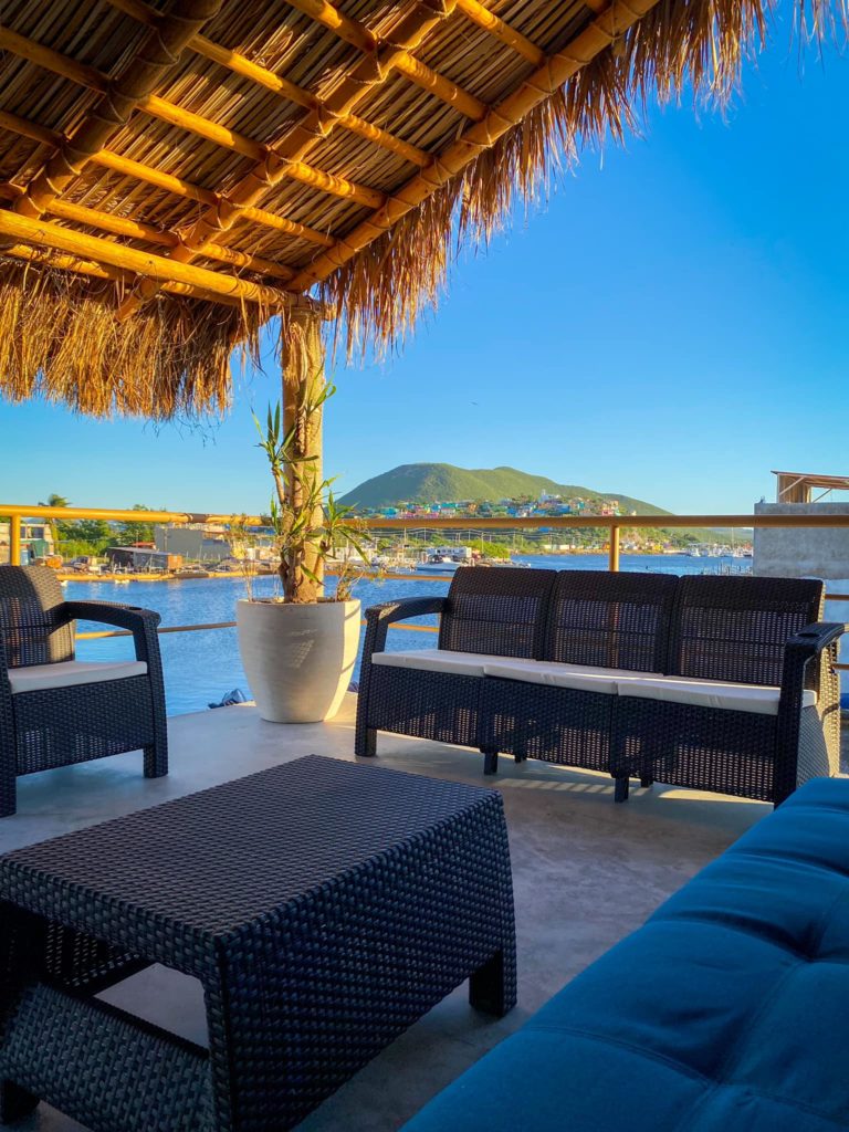 sealion-drive-center-mexico