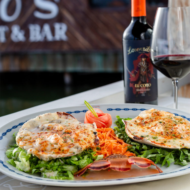 486612943_9186575238131524_7747343417206615750_n