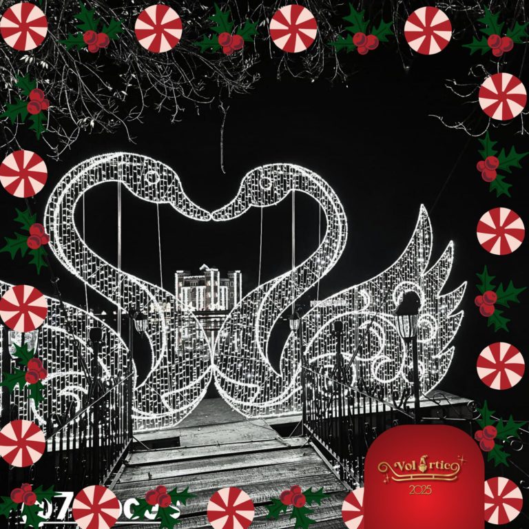 592861663_122198070296572104_2115527552322240312_n