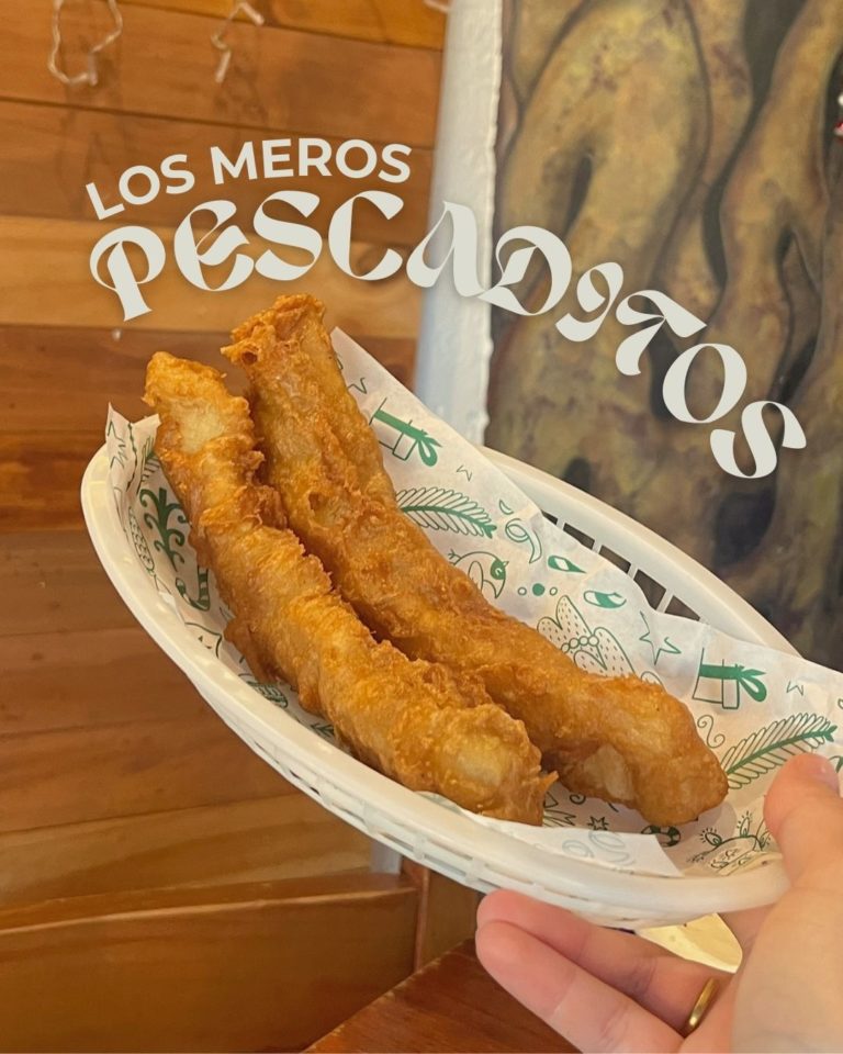 604819576_1466841712112815_2157338889154800835_n