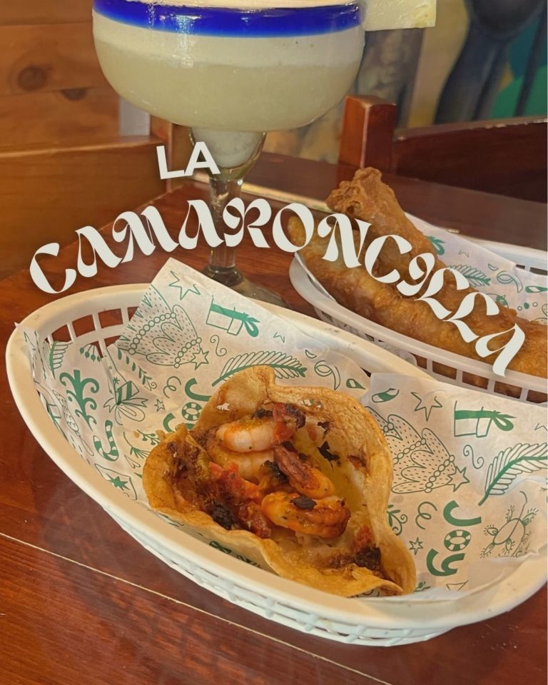 605219484_1466841682112818_8473223433574522921_n