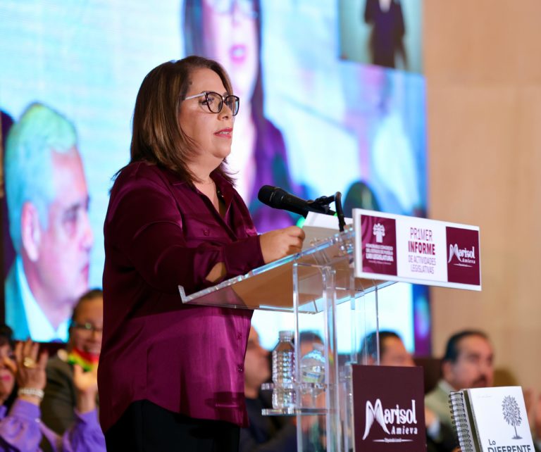 Destaca diputada Soledad Amieva trabajo legislativo para impulsar la inclusión