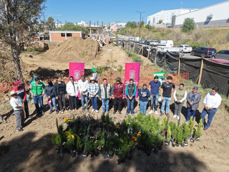 Realiza la diputada Norma Estela Pimentel jornada de reforestación en San Lorenzo Almecatla