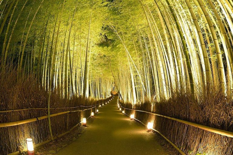 Arashiyama-japon-kioto-vacacion