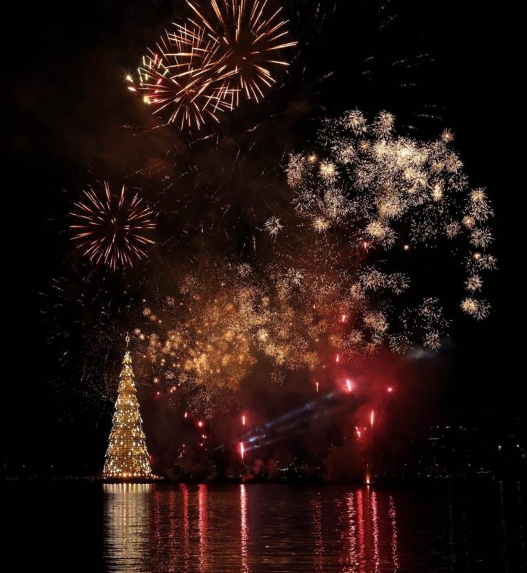 Árbol flotante-de-janeiro-brazil