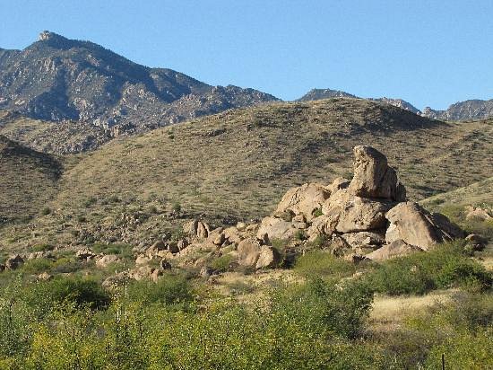 Bosque-Nacional-de-Coronado-eua