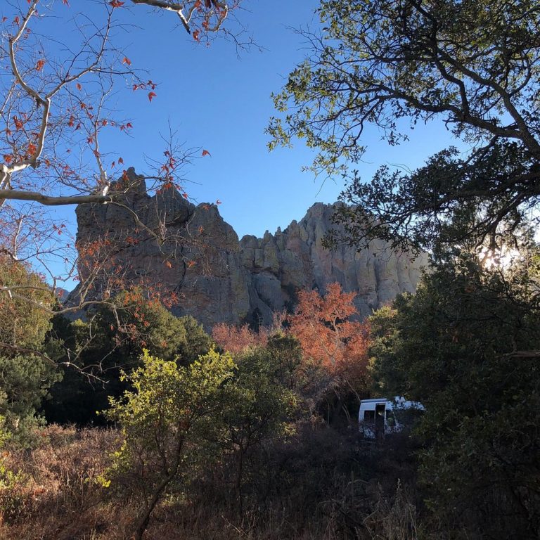 Bosque-Nacional-en-Coronado-