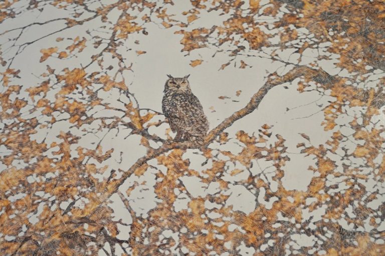 Brody-House-para-artistas