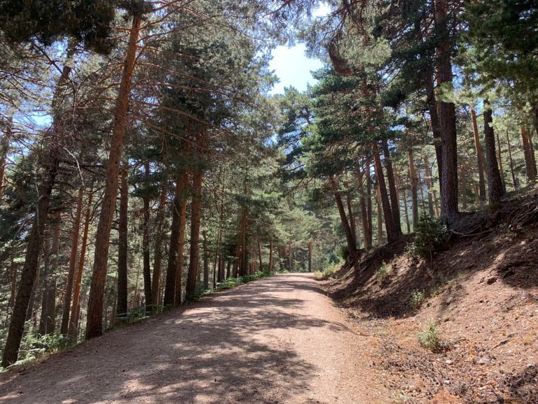 Camino-Schmidt-Siete-Picos-turismo