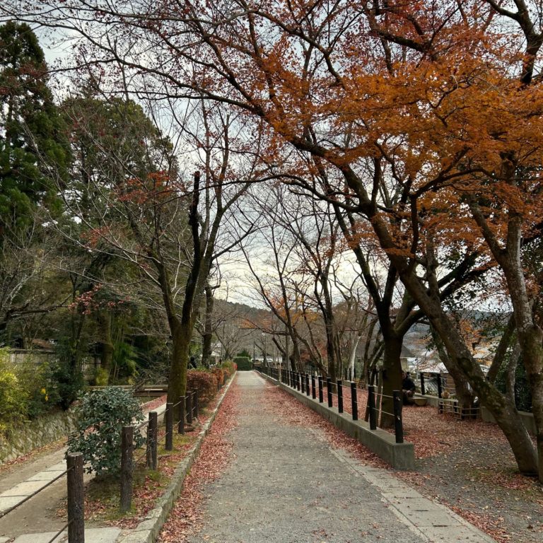 Camino-del-Filósofo-kioto-japón