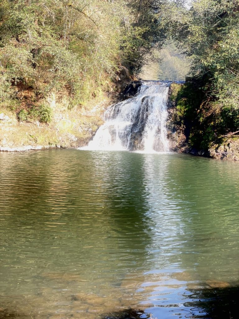Campestre-Las-Truchas-puebla-viajes
