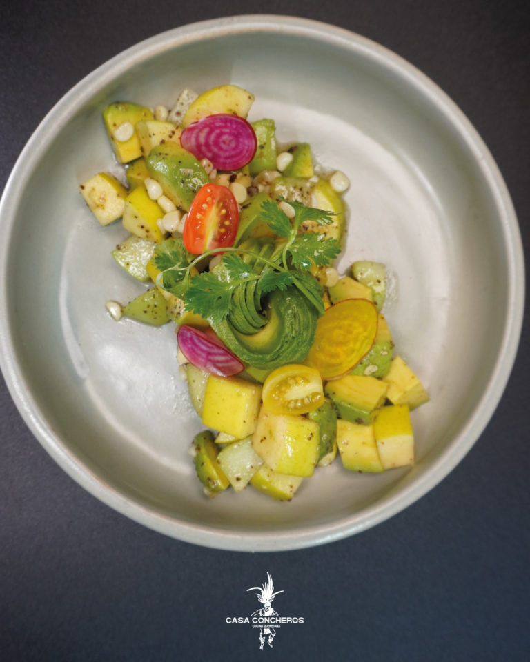 Casa-concheros-queretaro-mx