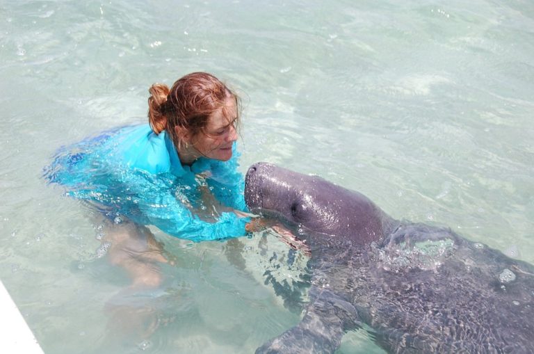 Costa-Maya-mexico-turismo-manaties