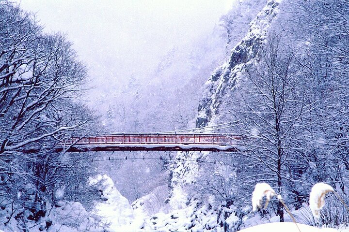 Hokkaido-japon-turismo-extranjero