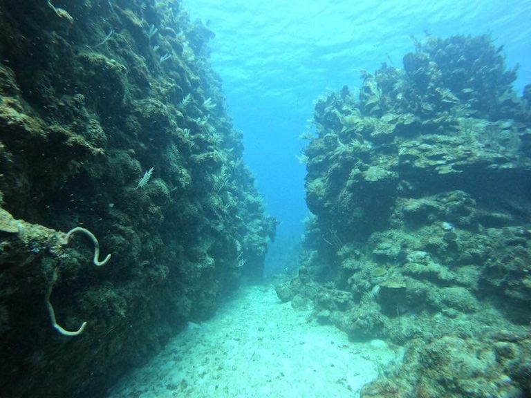 Honduras-tripadvisor-turismo-aventura